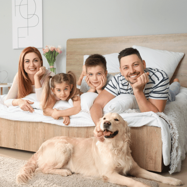 House Cleaning Service in Bangor MI House Cleaning Service in Bangor MI